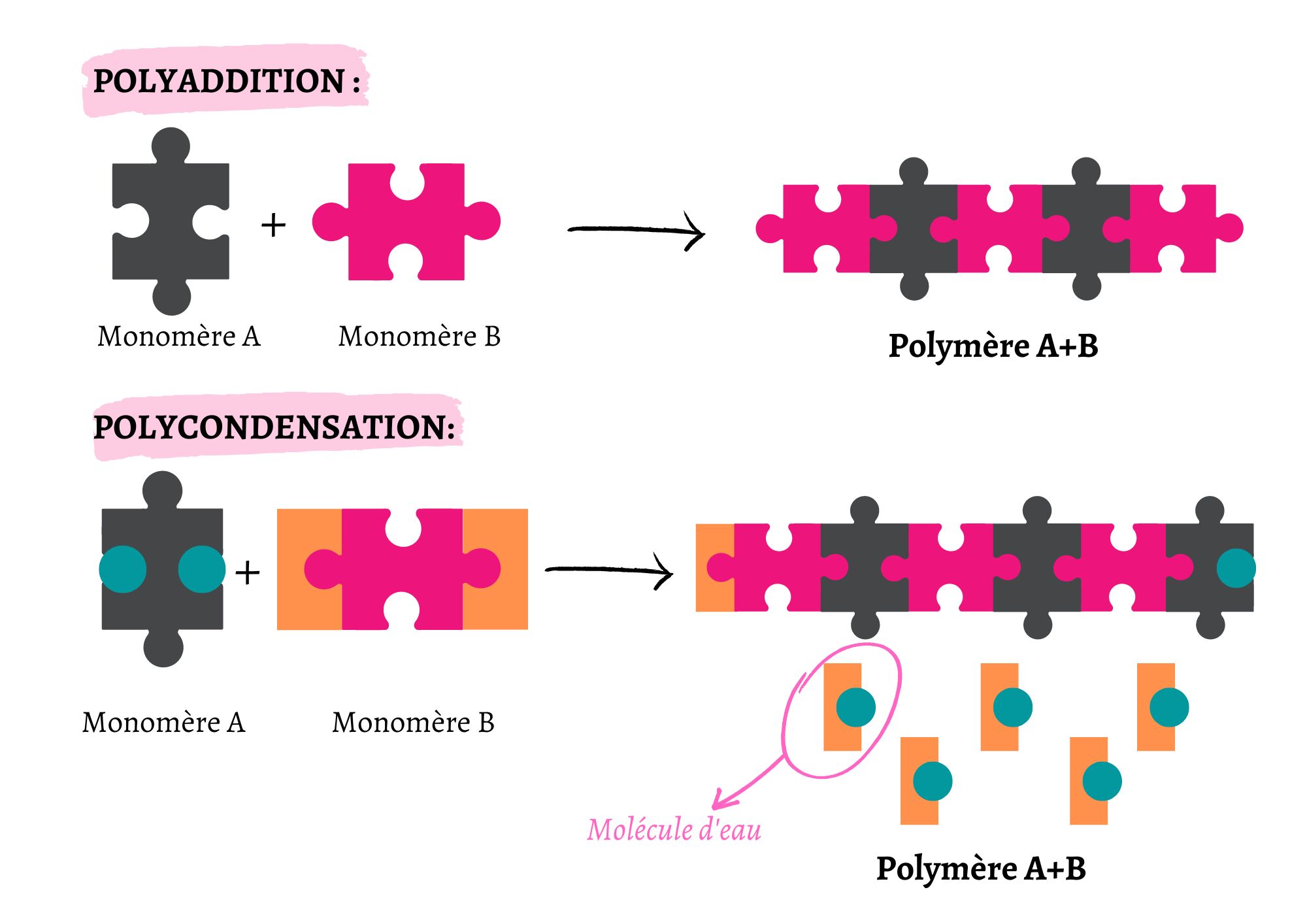 Schéma synthèse polymère